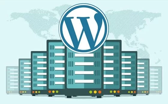 Wordpress hosting nedir?